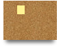 5666bettop