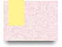 unihaianh7