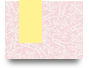 unidphaianh2