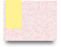 unidphaianh4
