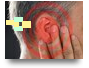 Deaf Awareness Training 