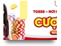 tg888site