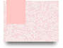 unidphaianh11