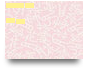 5C 2026_Compo 2_Group 1 