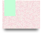 unidphaianh12