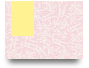 unidphaianh13