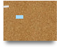 Trial Canvas