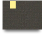 888newwitcom
