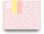 tintucyemen