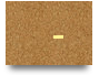 Trial Canvas