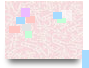 أريج التسامح