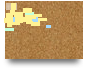 Mapa conceptual dolor
