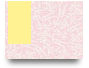aounihaianh11