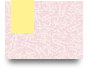 aounihaianh14