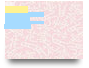 METODOLOGÍA COIL
