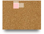 PFP Universe