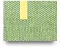 steroidsplug