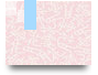 อารยา 110