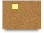 shbet800comx