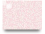 091ปิยฉัตร ราศรี