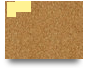 Evaluación - Tema 1