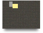 ss