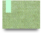 cm88comorg