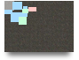 EL COLOR