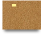 8xbetwinnet