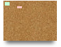 Trial Canvas