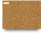 My Personal Profile