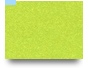 081526