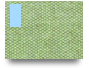 x877