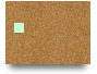 Avigail 