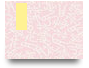 mv666itcom