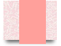 donghohaitrieu