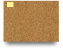 Trial Canvas