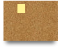 tg88988forum
