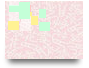 Genetic Traits