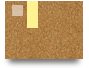 xoilacvaytv