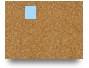 forum88ibets
