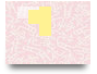 CC6