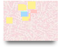 LGBT Aust (Lower)