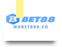CEO Tuan Kiet