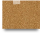Trial Canvas