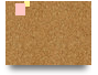 organizing a university event