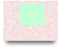 Luck81jpnet