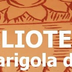 BibliotecaLaFarigola